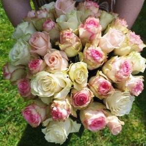 Roses