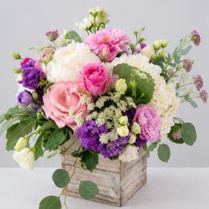 Fleurs de saison
