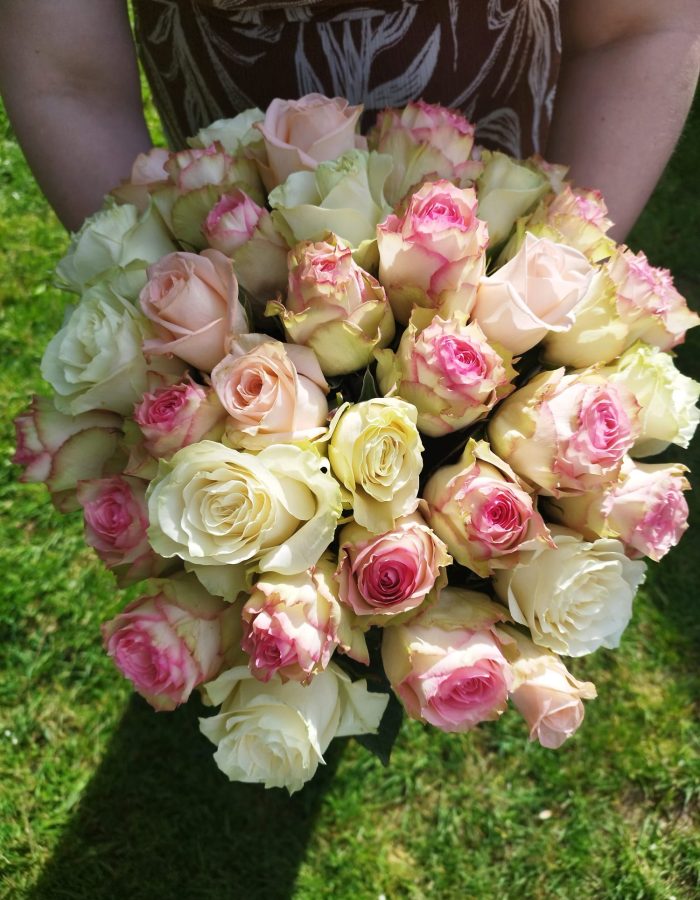 Roses
