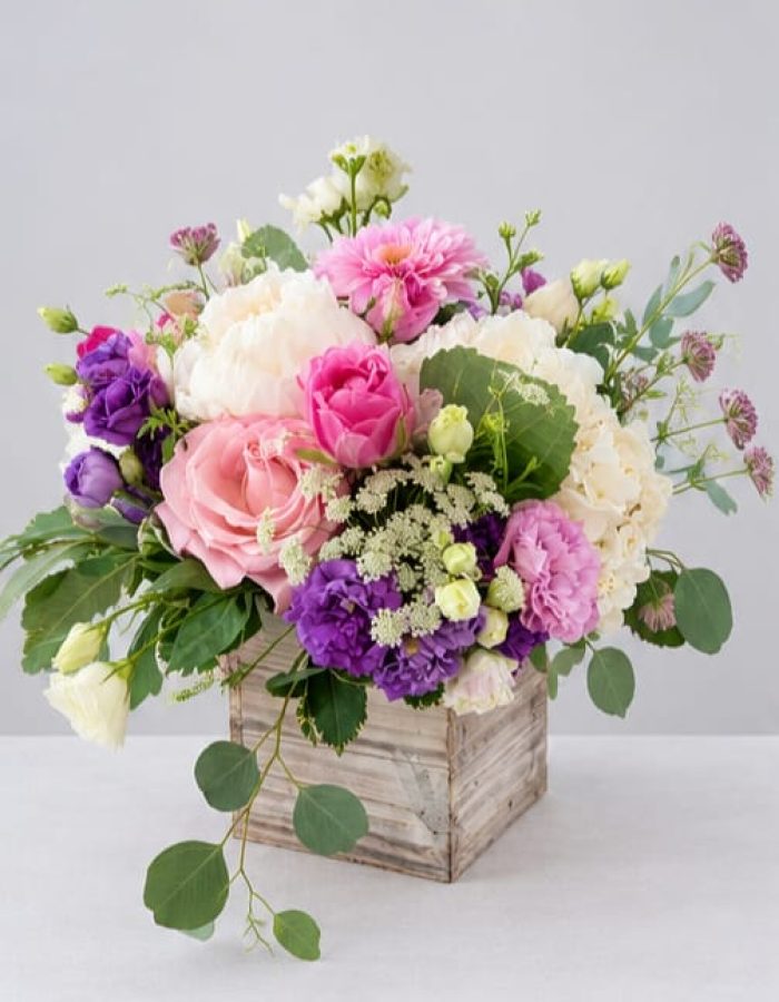 Fleurs de saison